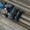 Xinjiang’da pamuğun mekanik hasat oranı yüzde 80’i aştı