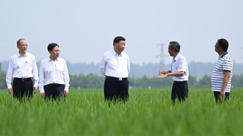Xi’den tahıl çiftçisine teşvik