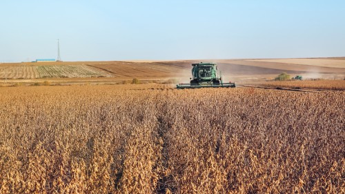 Çin’de sonbahar tahıl alımı 150 bin tonu aştı